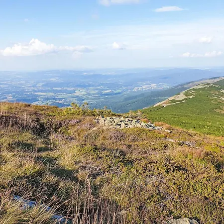 Belvedere-10 By Interhome Appartement Janské Lázně