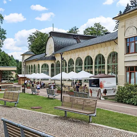 Belvedere-10 By Interhome Janské Lázně