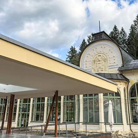 Appartement Belvedere-10 By Interhome Janské Lázně